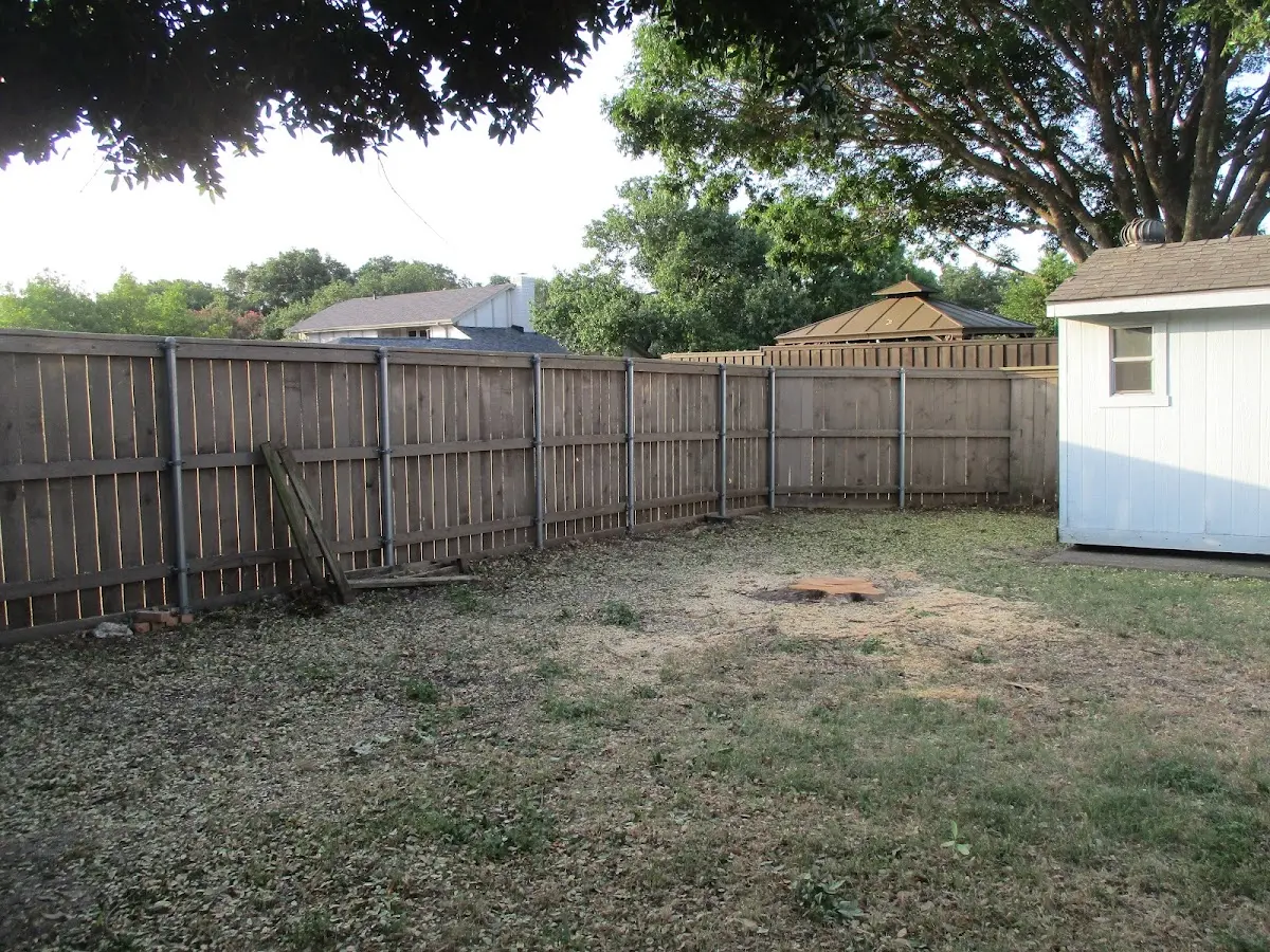Cleared yard after professional tree removal in Green River